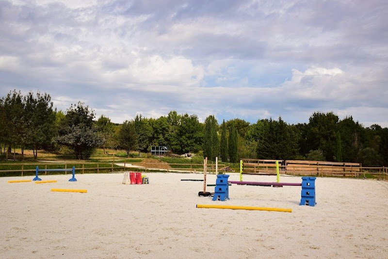 Haras du Lin Rouge - Nina VIAL Cavaliere et Instructrice d'équitation - photo 2