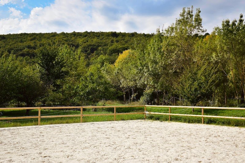 Haras du Lin Rouge - Nina VIAL Cavaliere et Instructrice d'équitation - photo 3