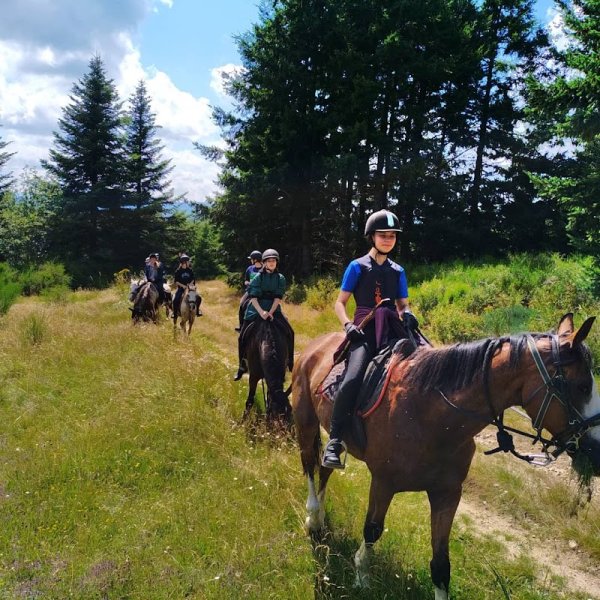 LE PALAIS DU PONEY - photo 1