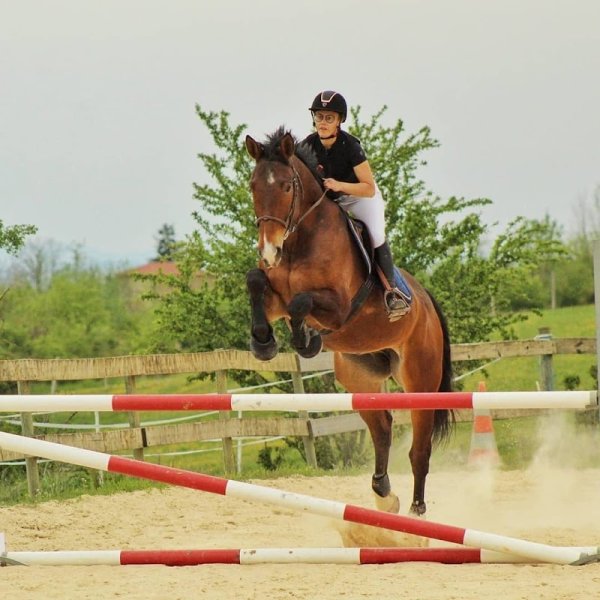 LE PALAIS DU PONEY - photo 2