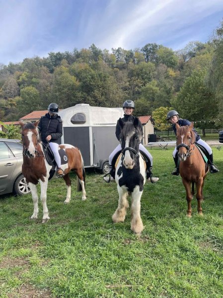 Les écuries de Mercuel - photo 3