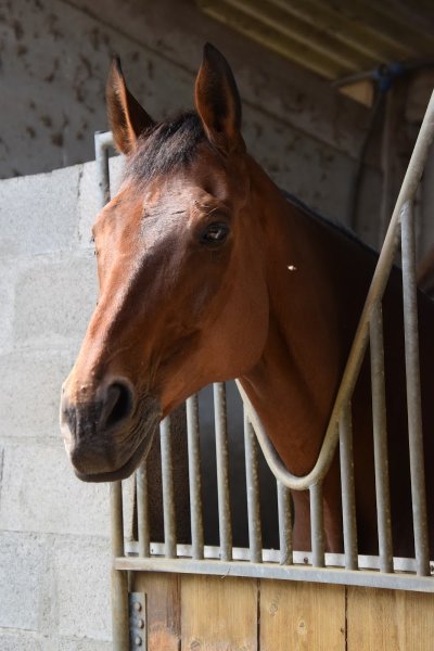 Ecuries Saint Ferreol