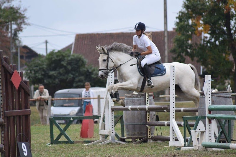 Ecuries Saint Ferreol - photo 3