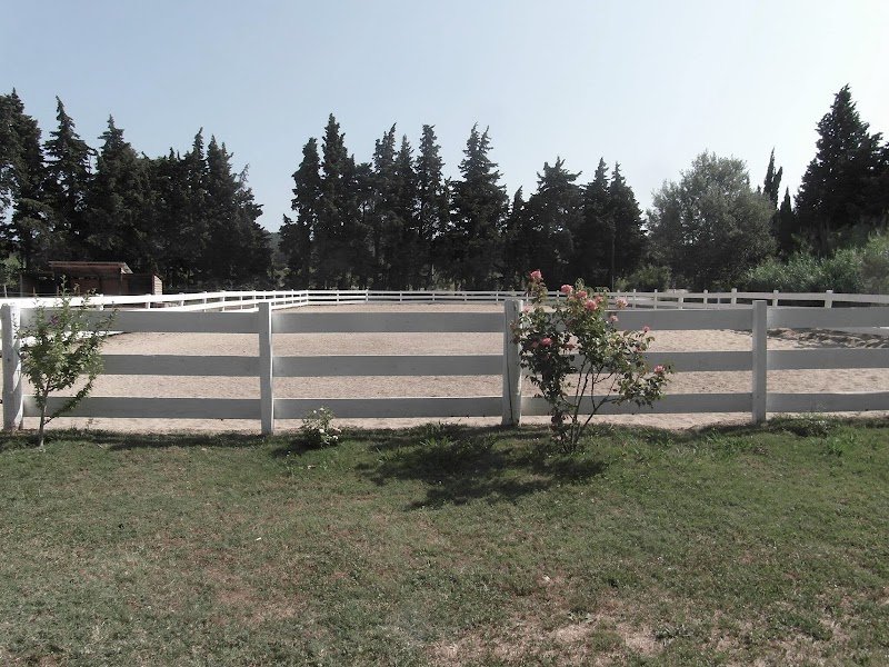 L’Écurie des Alpilles