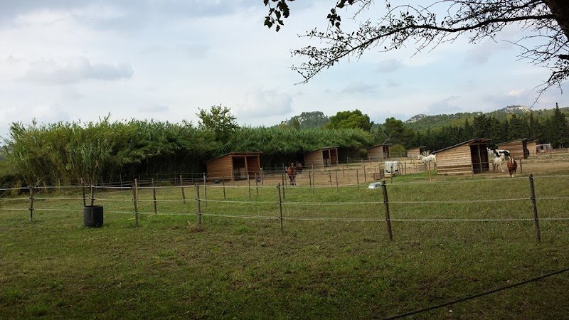 L’Écurie des Alpilles - photo 2