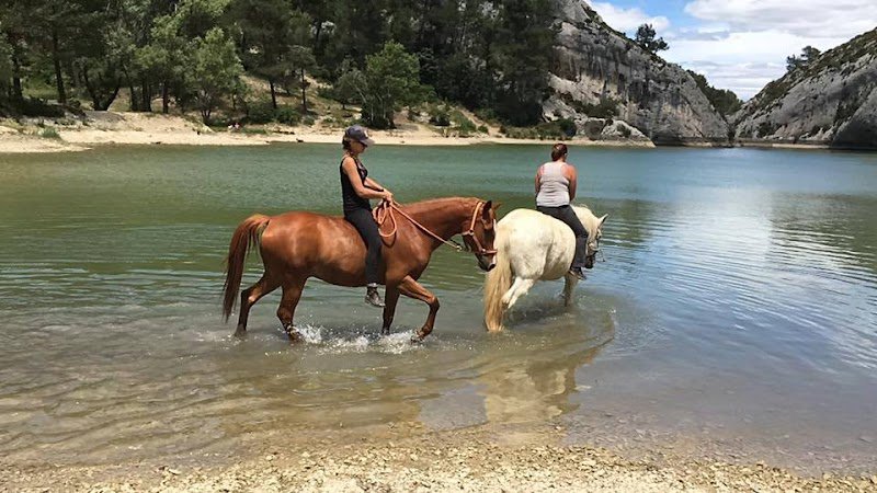 L’Écurie des Alpilles - photo 3