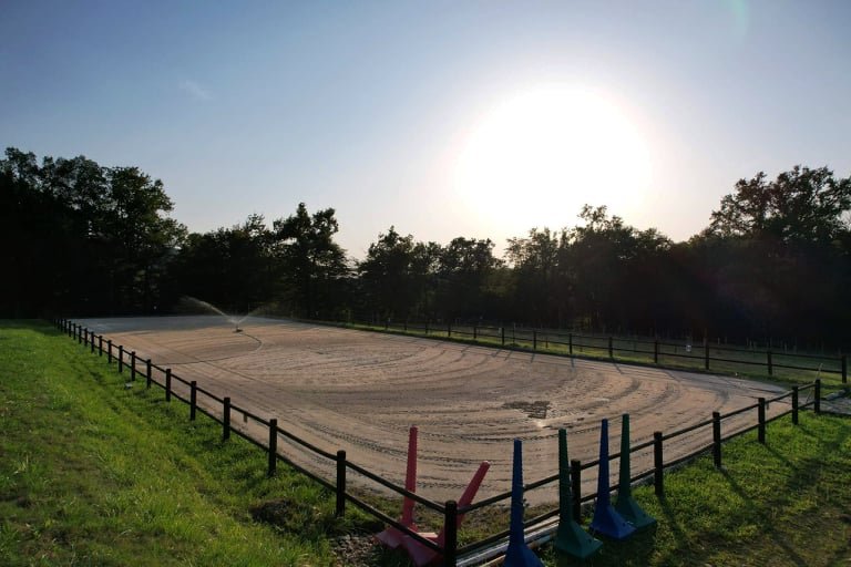 Ecurie de l'île - photo 1