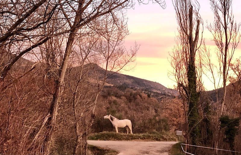 La Fabuleuse, Ferme equestre créative et accueillante - photo 1