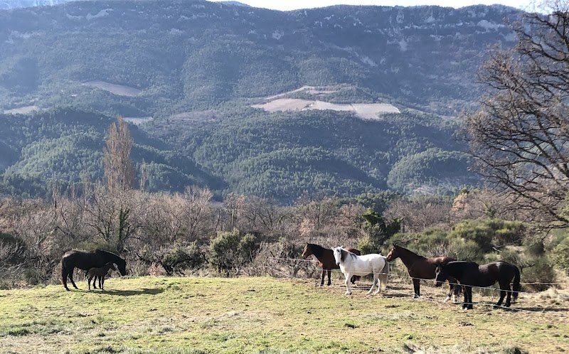 La Fabuleuse, Ferme equestre créative et accueillante - photo 2