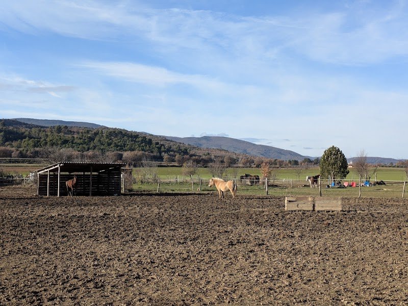 Les Chevaux Jarlandins - photo 1