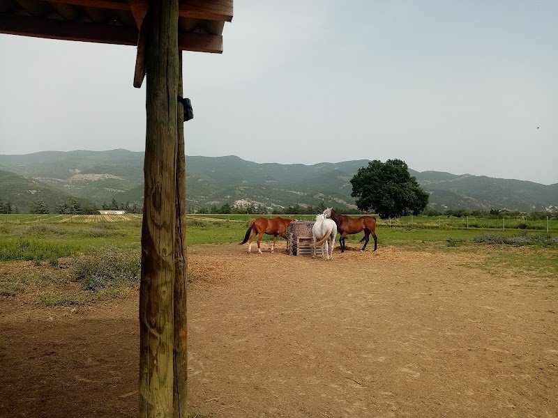 Les Chevaux Jarlandins - photo 3