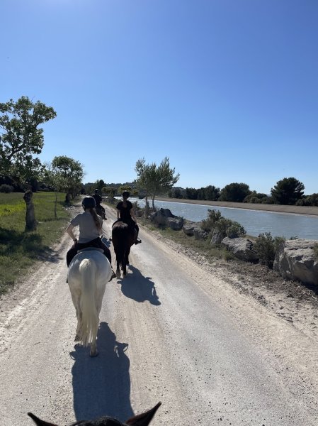 Ecurie du Domaine de Pont Royal - Centre Equestre de Pont Royal Mallemort (Ecurie du soleil) - photo 2