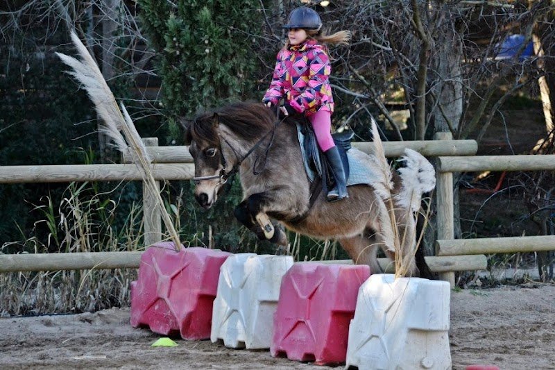 Ecurie du Domaine de Pont Royal - Centre Equestre de Pont Royal Mallemort (Ecurie du soleil) - photo 3