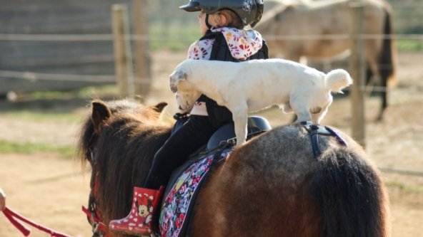 Ecurie Finca Del Sol - photo 1