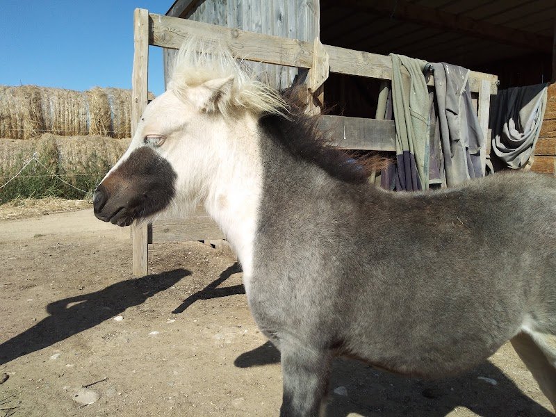 Ecurie Finca Del Sol - photo 2