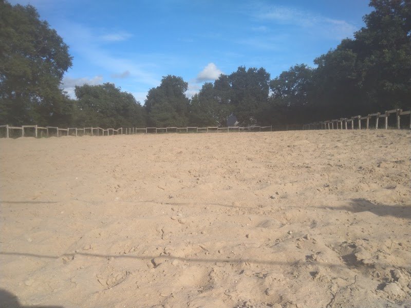 Ecuries Les 2 Rives | Pension chevaux | Centre d'Equicoaching - photo 3