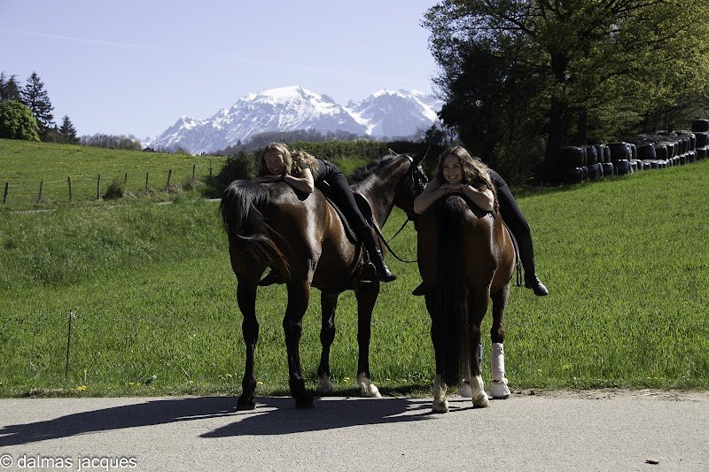 Écuries du Magay - photo 2