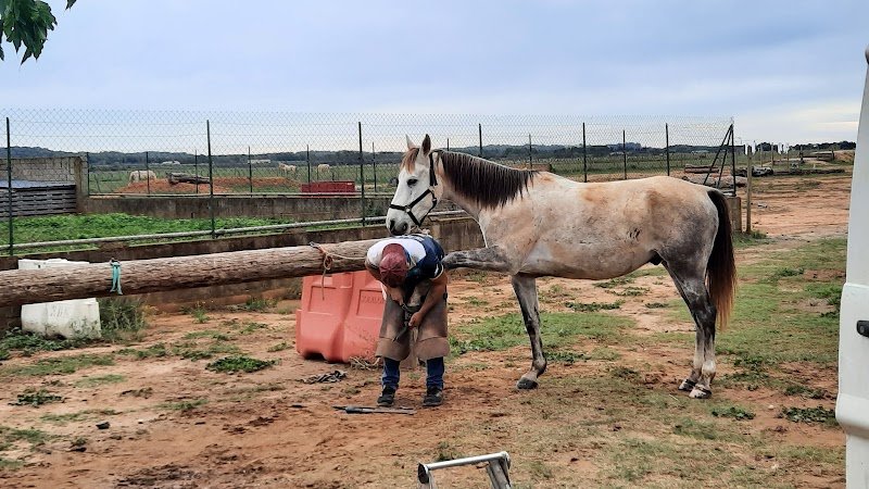 Ecurie du vieux mas - photo 1