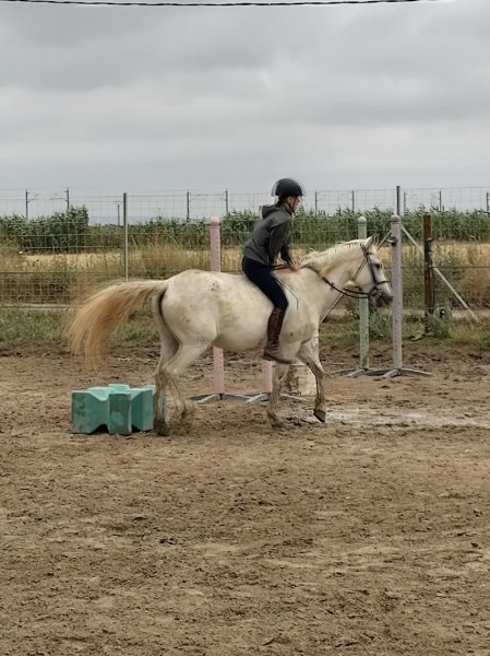 Ecurie du vieux mas - photo 3