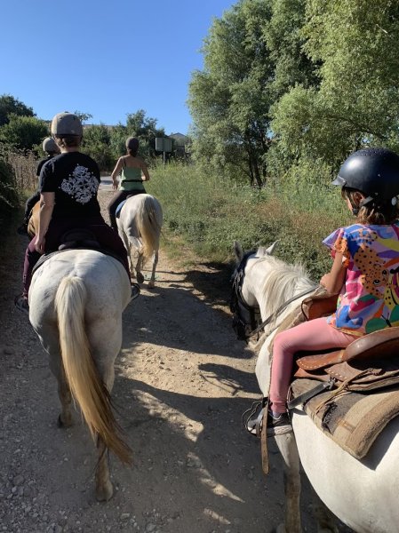 A cheval chez Theo - photo 1