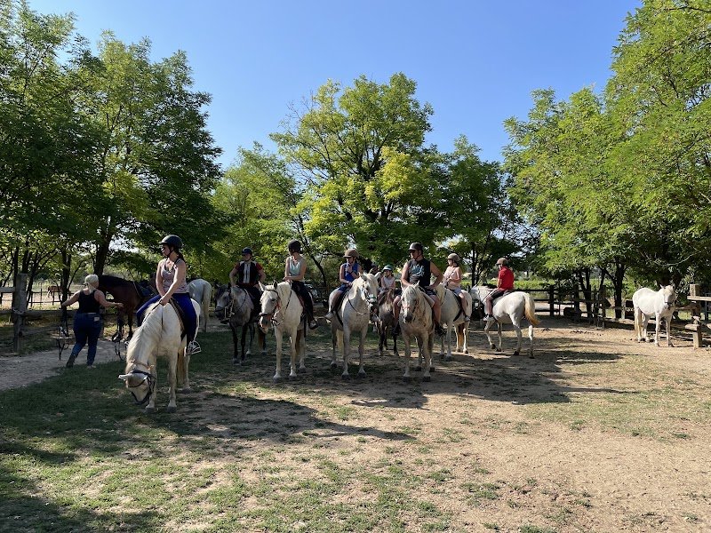 A cheval chez Theo - photo 3