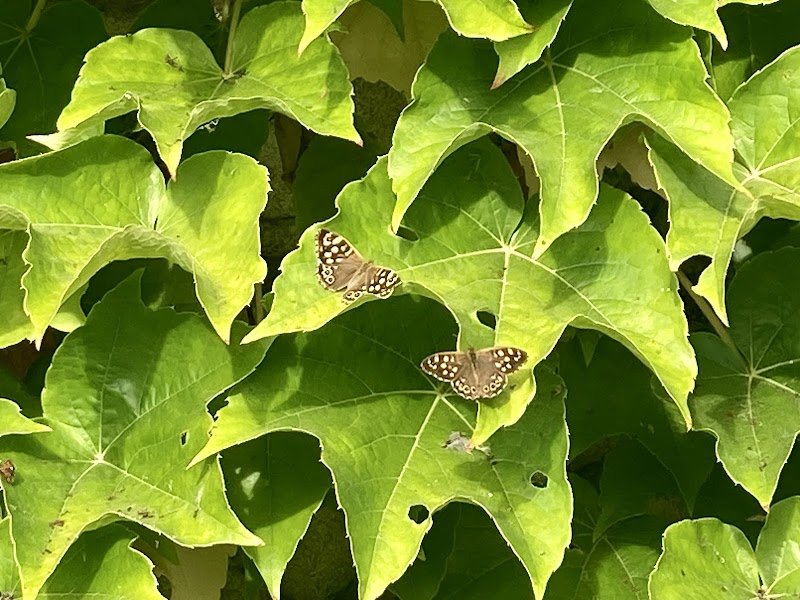 Haras du Poet et ROSIRIS