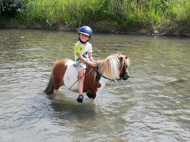 Domaine Equestre du Poet - photo 3