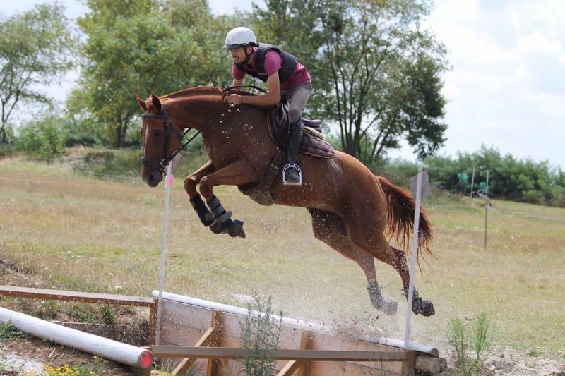 Les Écuries de Campsas