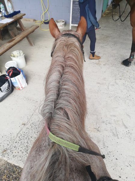 Les Ecuries du Rocher - photo 2