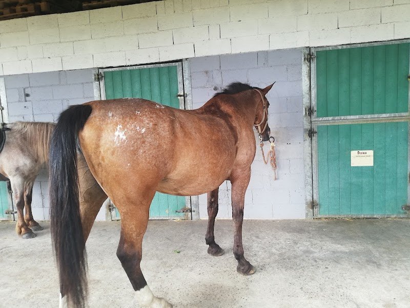 Les Ecuries du Rocher - photo 3