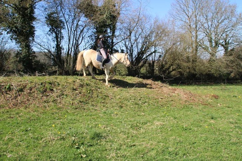 Pension chevaux L'écrin de Pradou Glas le Saint - photo 1