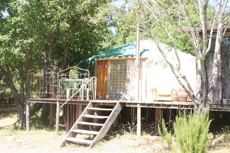 Les Chevaux du Cornac - RanchShalala - photo 1