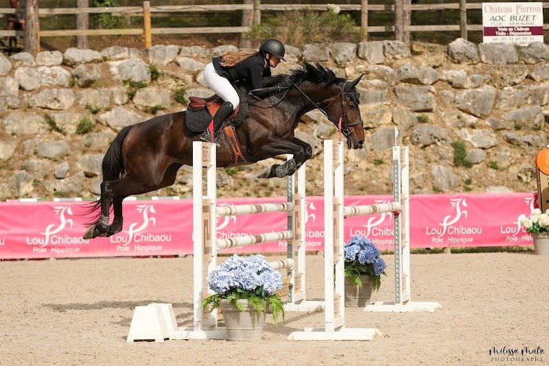 Ecurie de baillac - photo 2