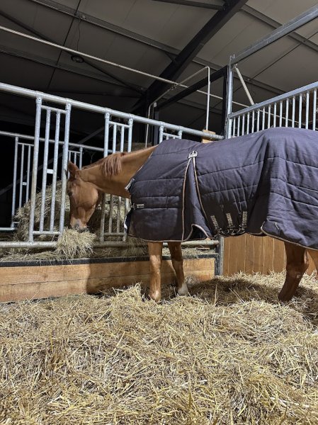 Ecurie de baillac - photo 3