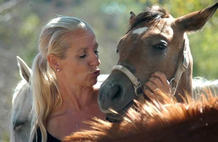 Les chevaux de l'Urière élevage de Pintabian - photo 2