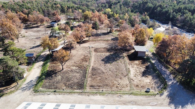 Ecuries des Parots - photo 2