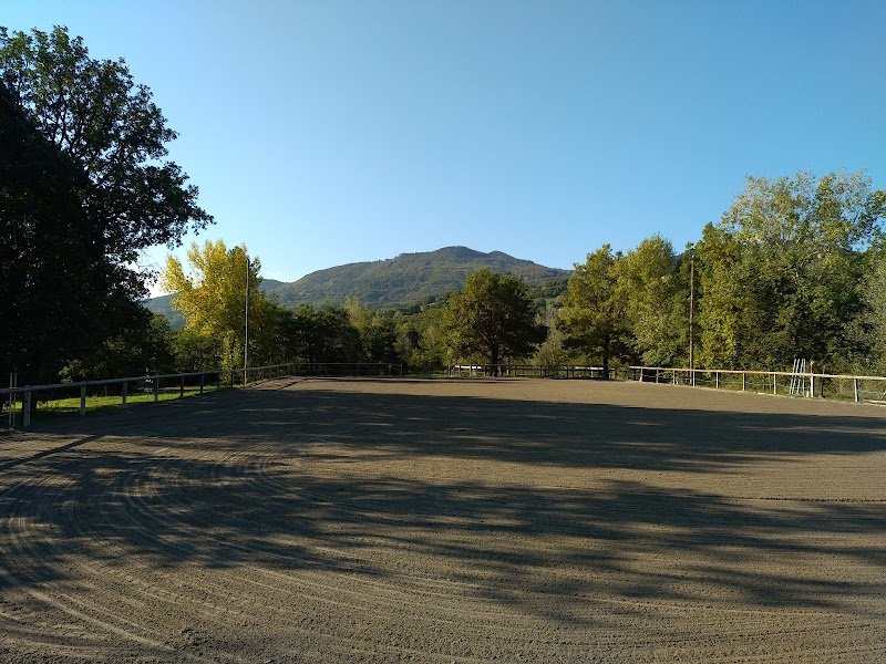 Ecuries des Parots - photo 3