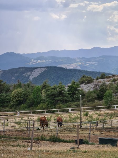 Écuries du Rigodon - photo 1