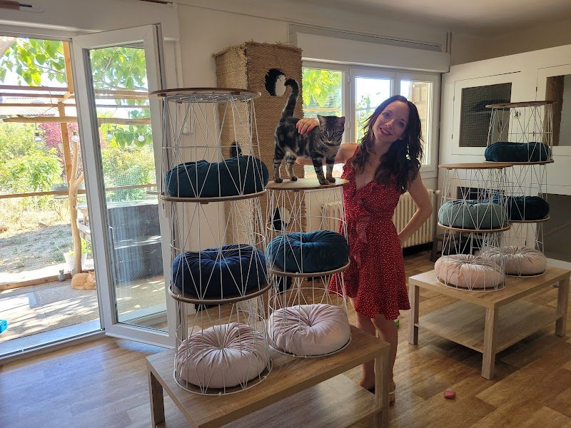 FELIS GARDEN pension féline - photo 1