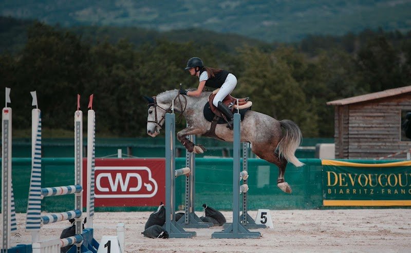 LES ECURIES DE MONTMAUR - photo 1