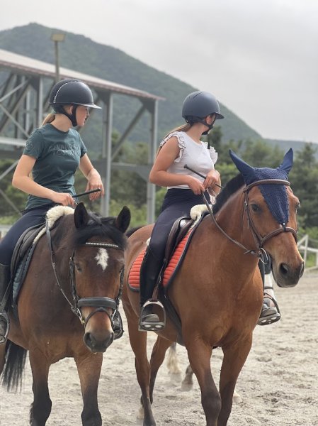 LES ECURIES DE MONTMAUR - photo 2