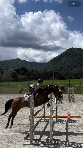 LES ECURIES DE MONTMAUR - photo 3