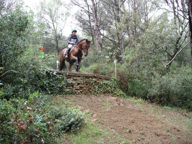 Les Ecuries de Riboulam
