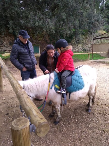 Les Ecuries de Riboulam - photo 2