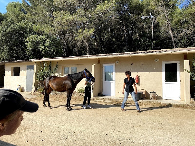 les écuries d'éole - photo 3