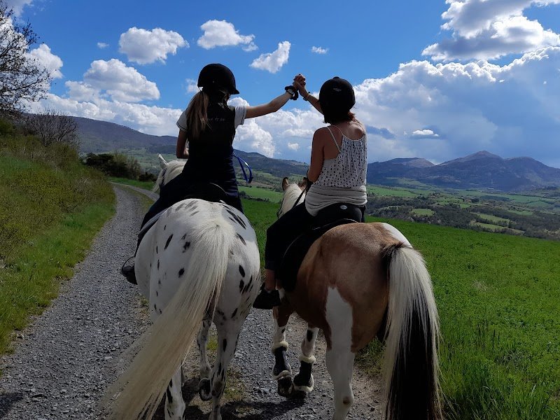 Ecurie Les Pies du Sud - photo 1