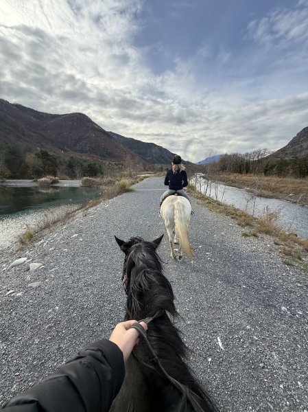 Ecurie Les Pies du Sud - photo 2