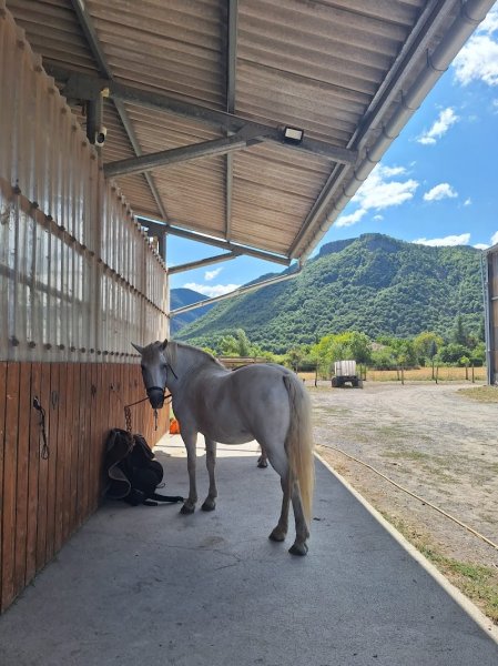 Ecurie Les Pies du Sud - photo 3