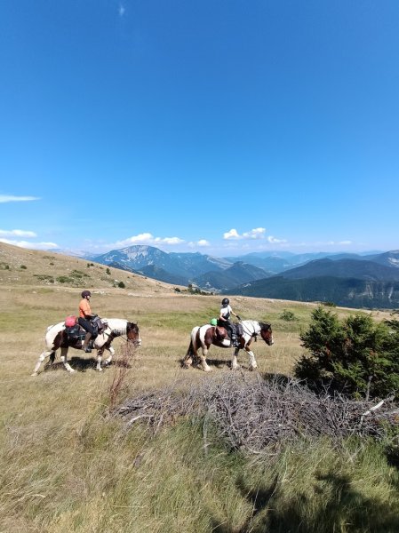Cavalse - Randonnées à Cheval - photo 2