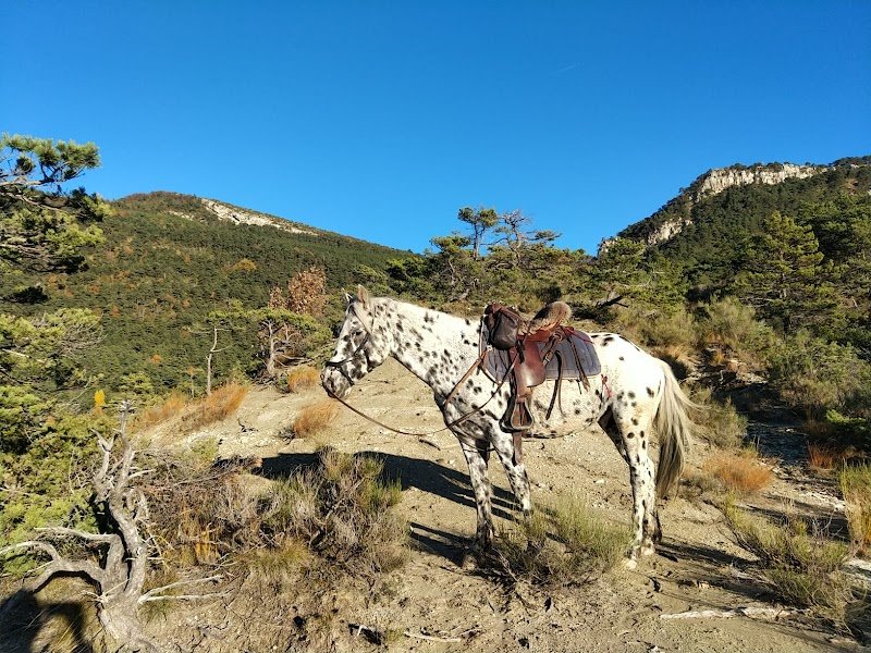 Cavalse - Randonnées à Cheval - photo 3